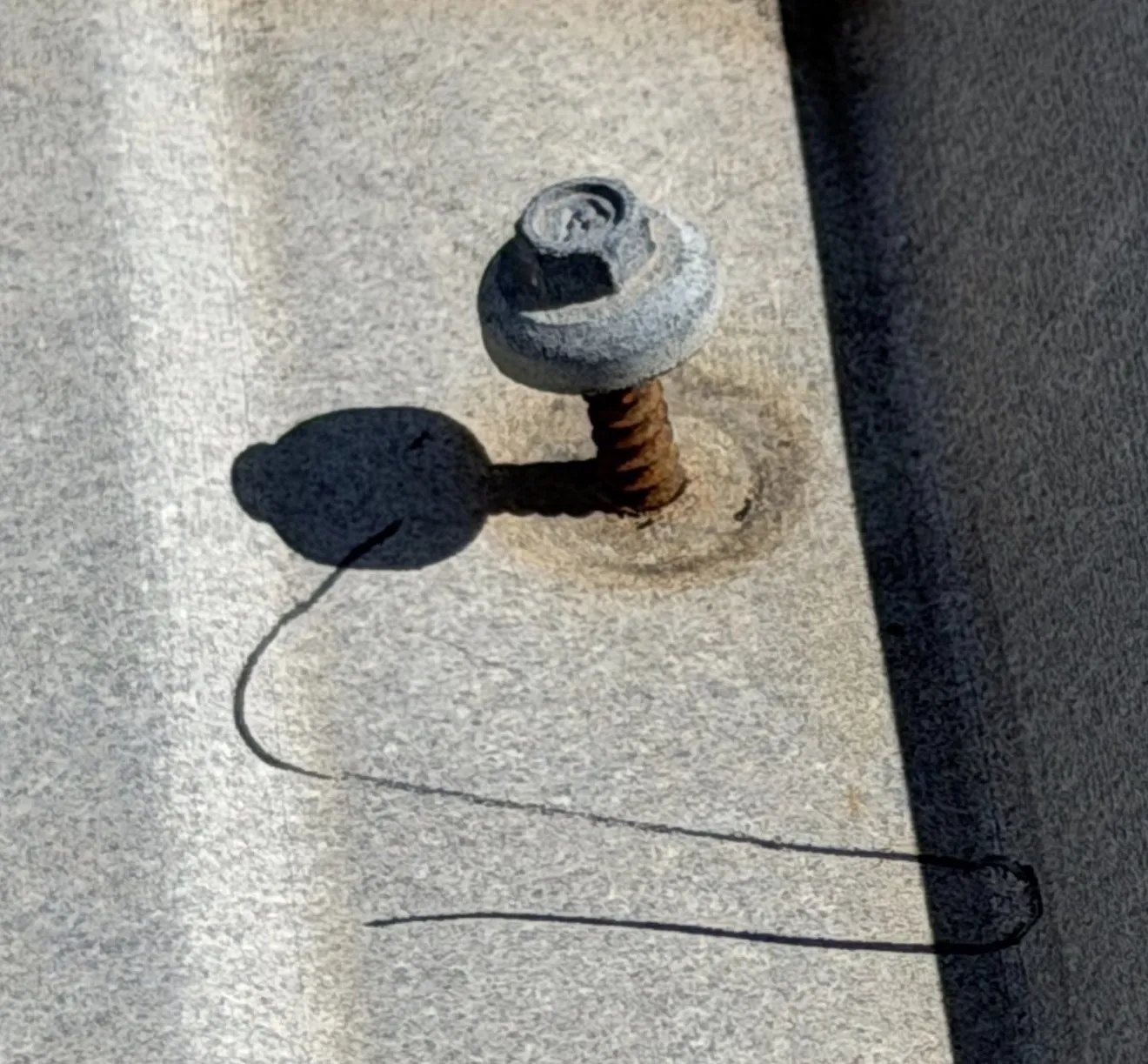 Close-up of a screw backed out of a metal roof panel, its rusted shank exposed and the washer lifted clear of a rust-stained hole