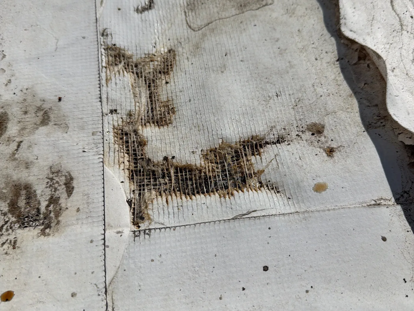 Close-up of a weathered white TPO roof membrane worn through in dark patches to the reinforcing fabric underneath
